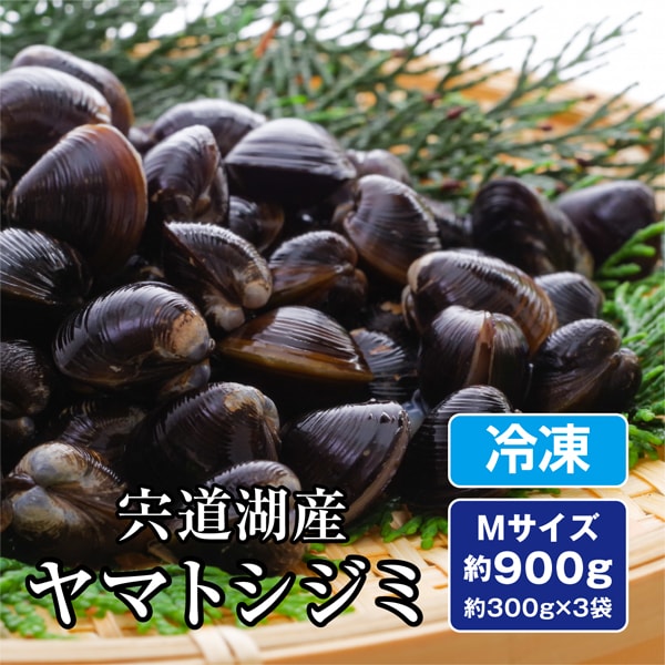 【約900g(300g×3袋)Mサイズ】島根県宍道湖産 ヤマトシジミ