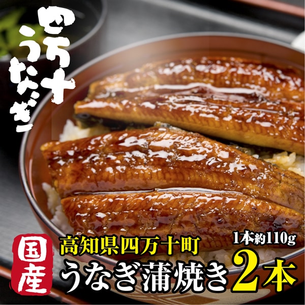 【2本(約110g×2本)】高知県産 高級うなぎ蒲焼 日本最後の清流が育んだ絶品うなぎ