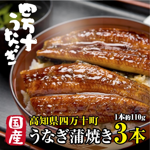 【3本(約110g×3本)】高知県産 高級うなぎ蒲焼 日本最後の清流が育んだ絶品うなぎ