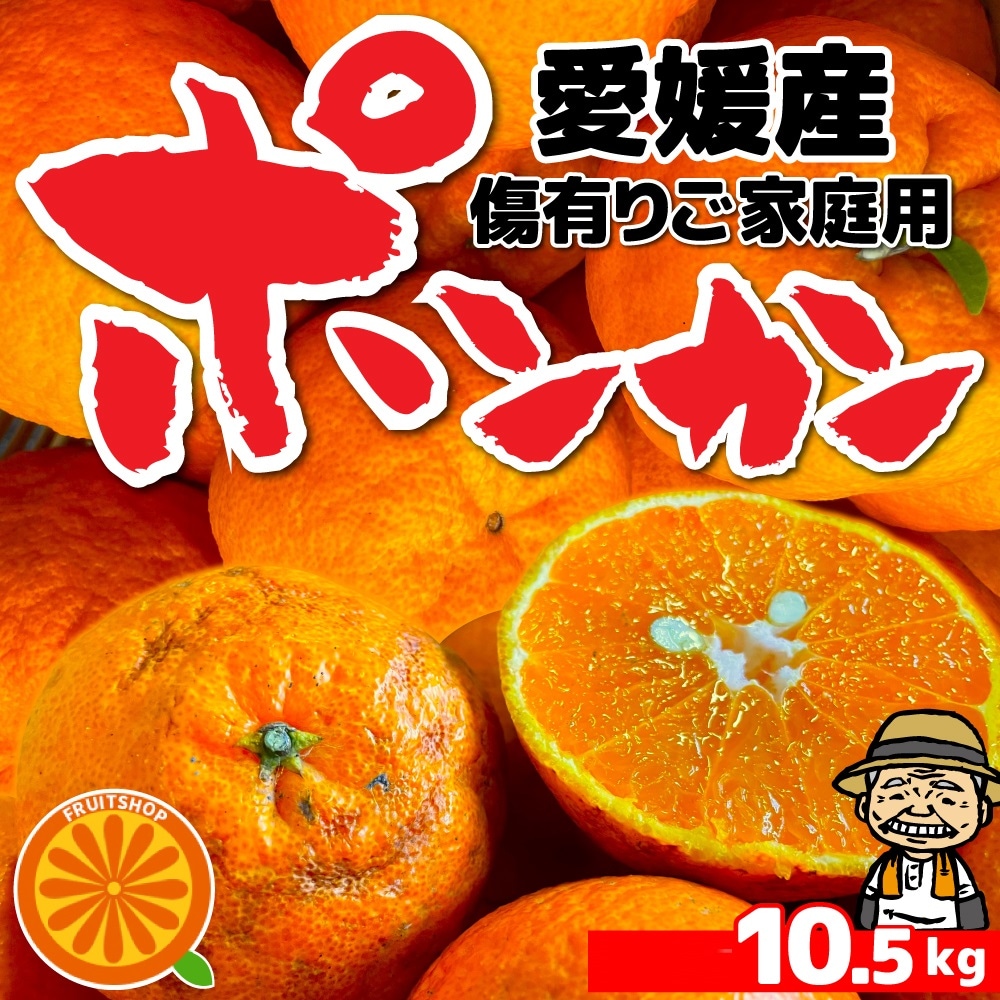 愛媛県産 ご家庭用 ぽんかん 10.5kg 不揃い・傷ありを税込・送料込でお