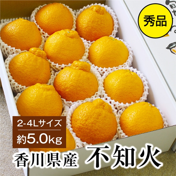 【約5.0kg(2L-4L)秀品】香川県産 不知火 デコポン 同品種 大きなサイズ たっぷりお届け！