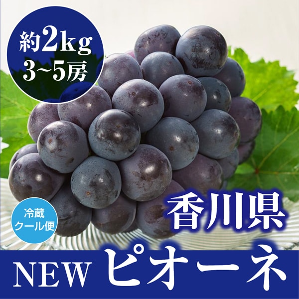 【約2kg(3-5房)】香川県産 ニューピオーネ