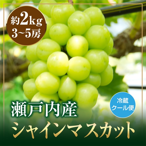 【箱含む約2kg(3-5房)】瀬戸内産シャインマスカット