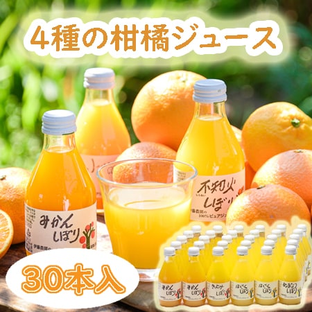【30本セット】「伊藤農園」 4種の柑橘ジュース飲み比べセット