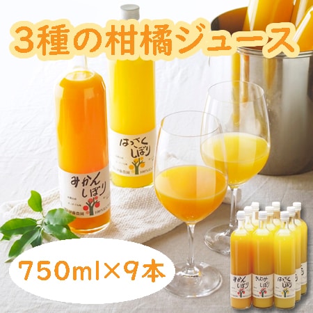 【計9本セット】「伊藤農園」 3種の柑橘ジュース飲み比べセット