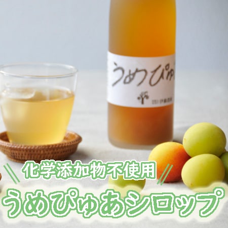 「伊藤農園」うめぴゅあシロップ500ml×6本セット