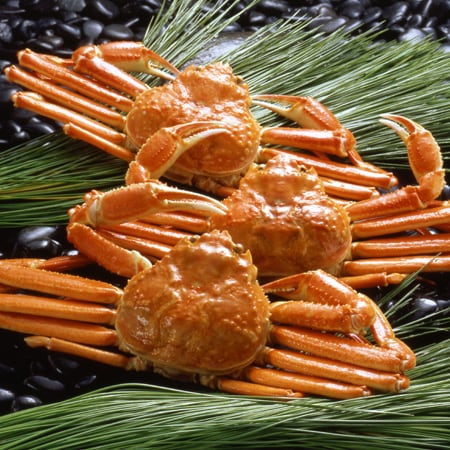 【計1350g/450g×3杯】ボイルずわいがに姿