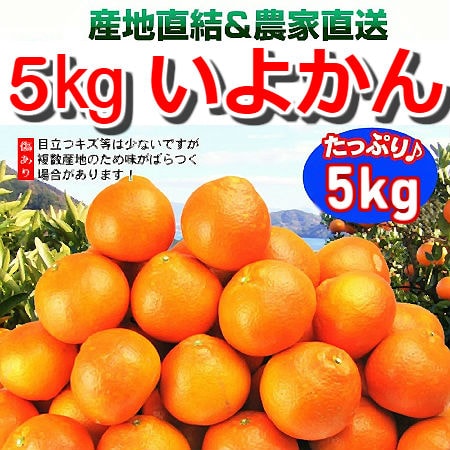 【5kg】愛媛県産 伊予柑(いよかん)(ご家庭用・傷あり)