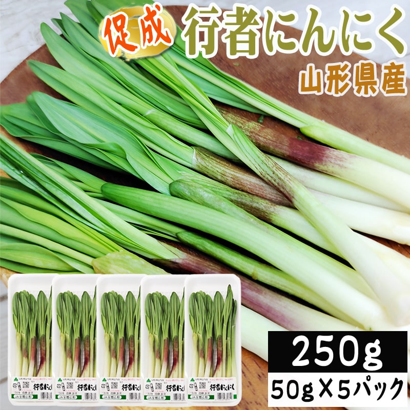 【250g】山形県産 促成山菜 行者にんにく 50g×5パック(クール便)
