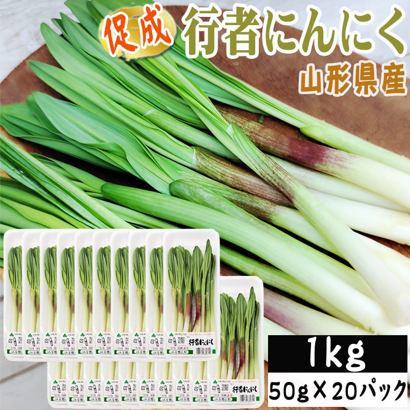 【1kg】山形県産 促成山菜 行者にんにく 50g×20パック(クール便)