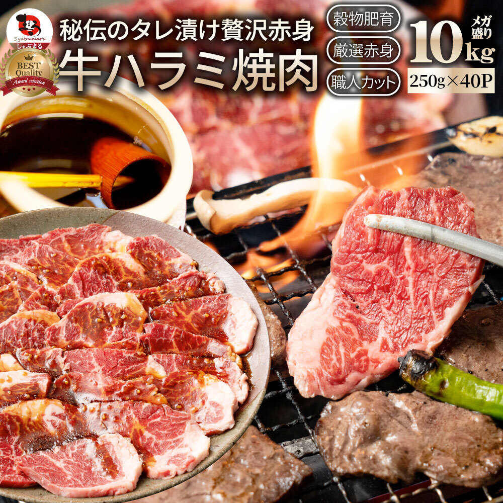 【計10kg(250g×40)】牛ハラミ焼肉（タレ漬け）
