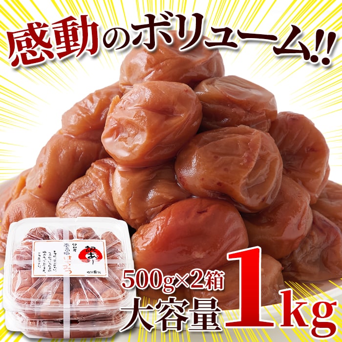 【1kg】南高梅《完熟》はちみつ味