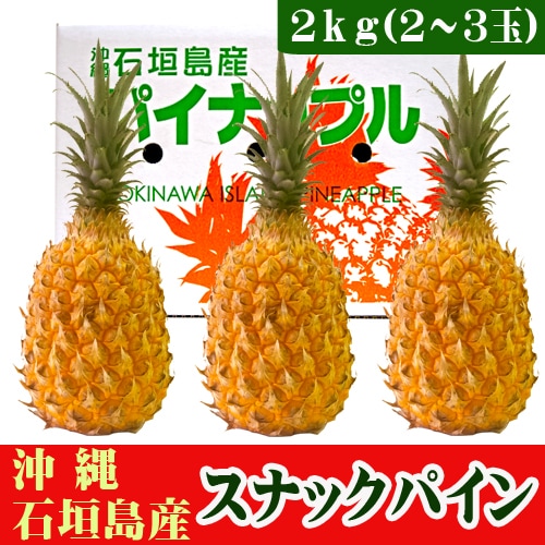 予約受付】4/28~順次出荷【2kg(2~3玉)】石垣島産 スナックパイン 