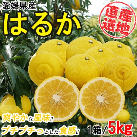 【5kgセット】 愛媛県産はるか YDF-004