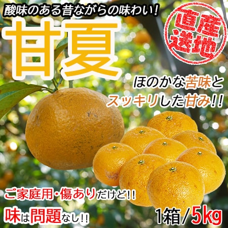 【5kg】 愛媛県産甘夏 (ご家庭用・傷あり)