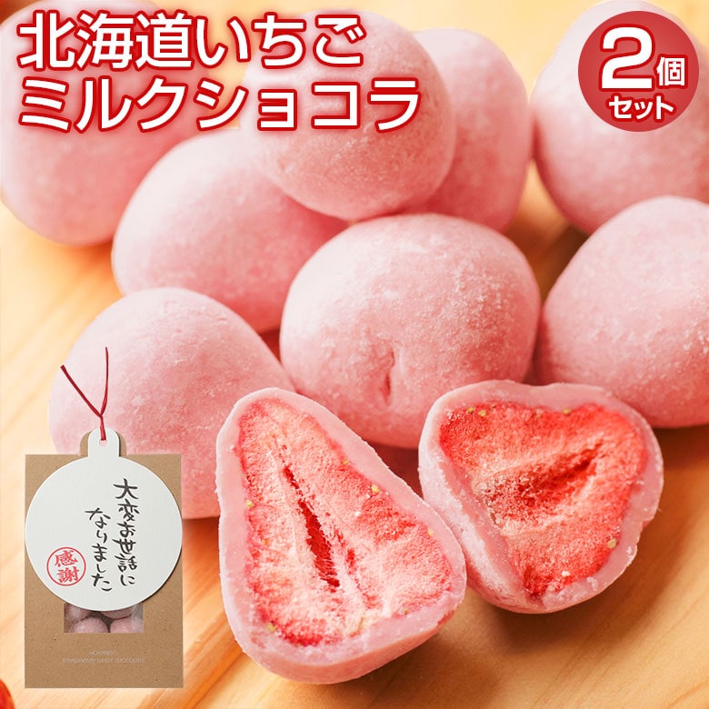 【計10個(5個入り×2袋)】北海道いちごミルクショコラ2袋セット【大変お世話になりました】【V】