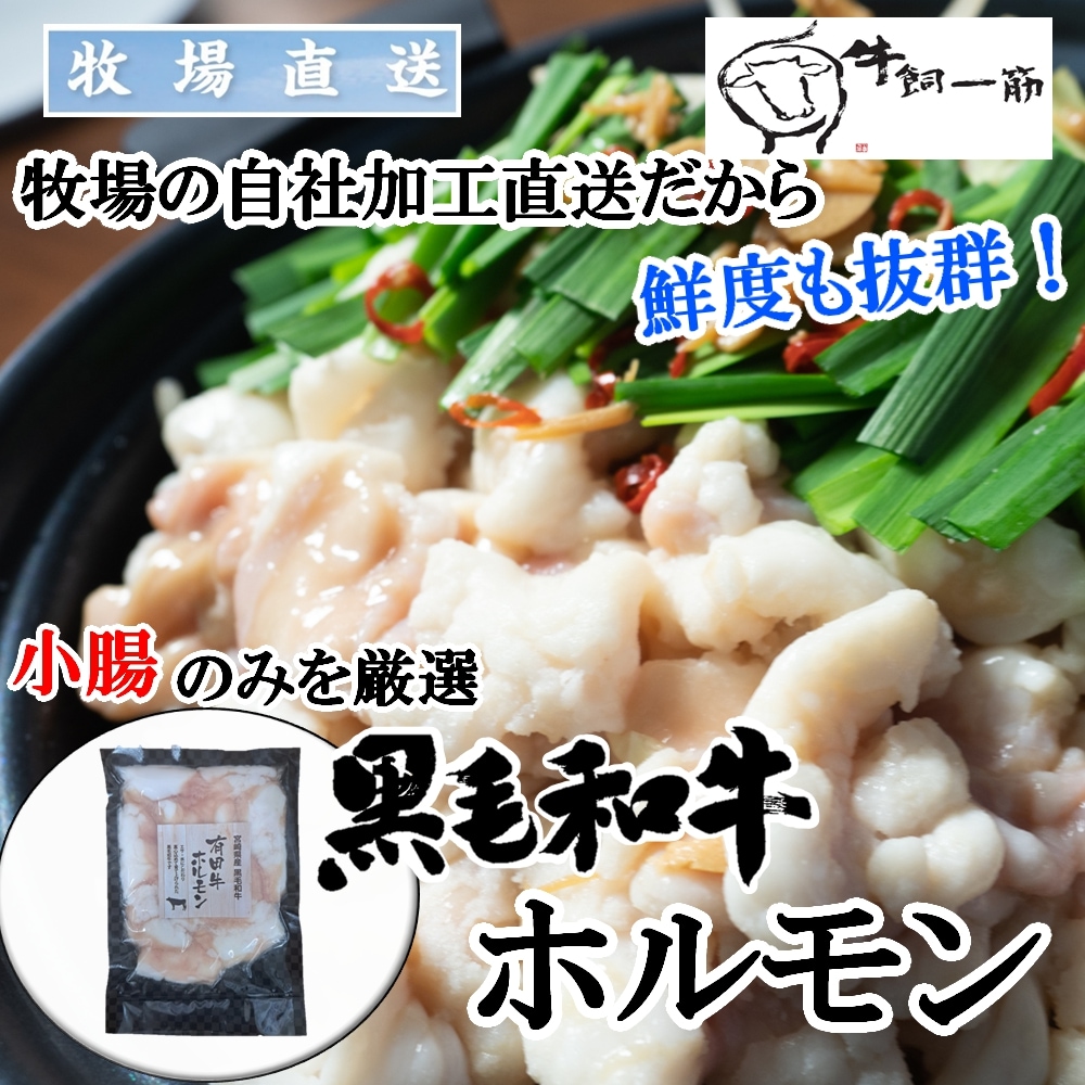 【540g】産地直送！九州産黒毛和牛ホルモン(180g×3袋)