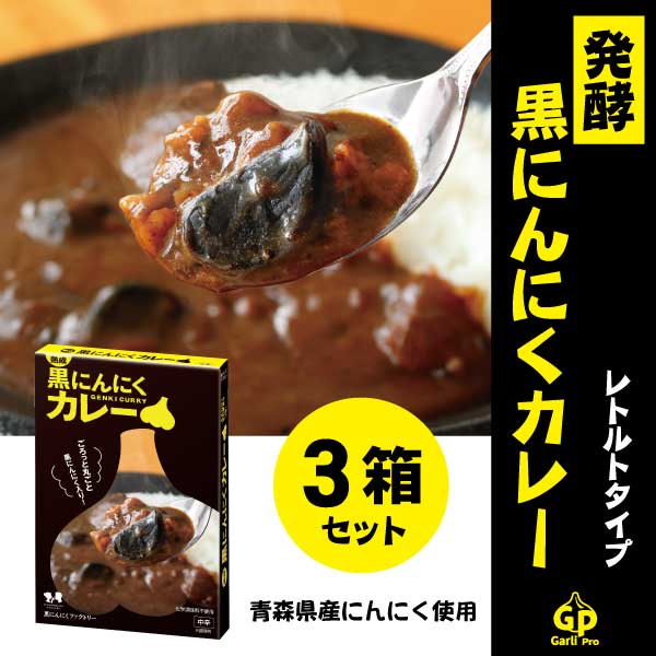 【180g×3箱】自然共生　熟成黒にんにくカレー