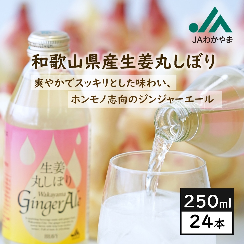 【瓶250ml×24本】和歌山県産生姜丸しぼり わかやまジンジャーエール／紀州てまり野菜の新生姜使用