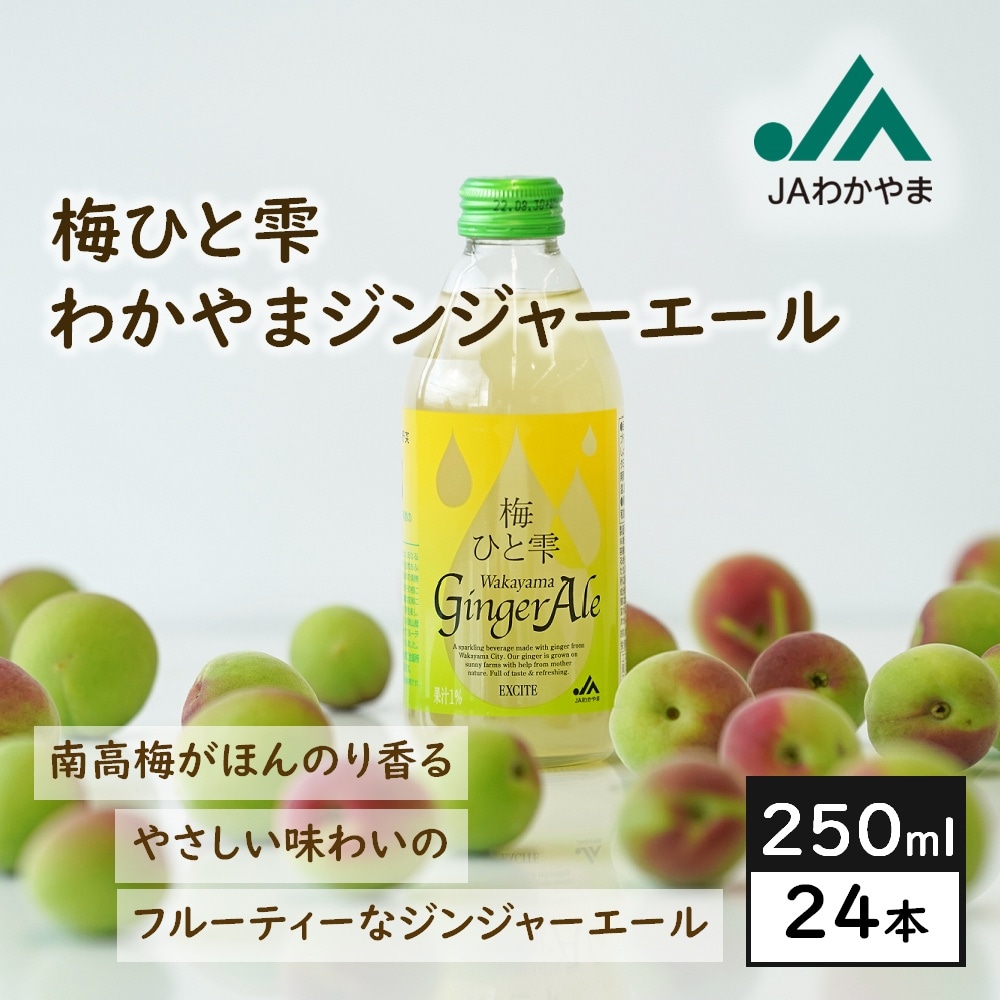 【瓶250ml×24本】梅ひと雫 わかやまジンジャーエール／和歌山県産の生姜・南高梅果汁を使用！
