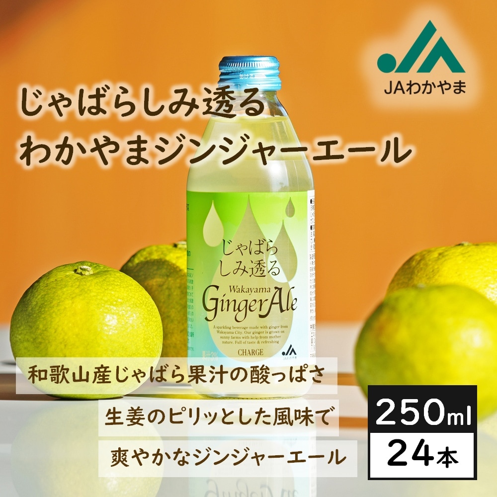 【瓶250ml×24本】じゃばらしみ透る わかやまジンジャーエール／和歌山県産