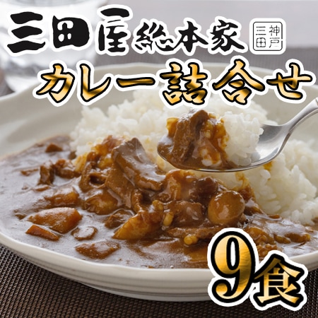 【3種計9食/各210g×各3食】「三田屋総本家」 カレー詰合せ（黒毛和牛・黒豚・ビーフ）
