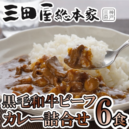 【6食】「三田屋総本家」 黒毛和牛のビーフカレー6食セット