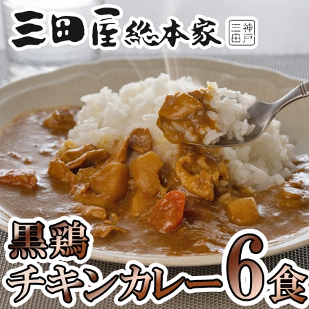 【6食】「三田屋総本家」 黒鶏のチキンカレー6食セット