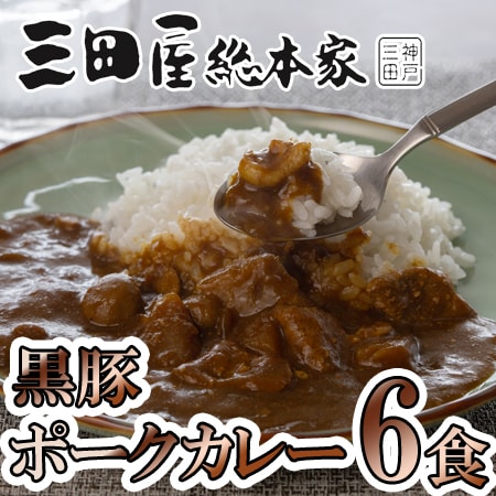 【210g×6食】「三田屋総本家」 黒豚のポークカレー6食セット
