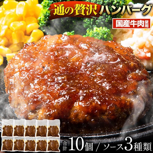 【3種/10個] 通の贅沢ハンバーグ