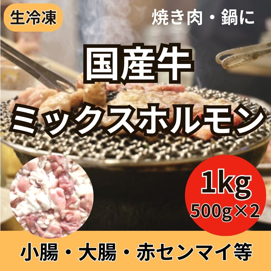 【計1kg/500g×2パック】国産牛 ミックスホルモン（シマチョウ・マルチョウ・ギアラ等）