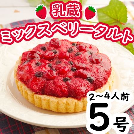 【5号】「乳蔵」ミックスベリータルト