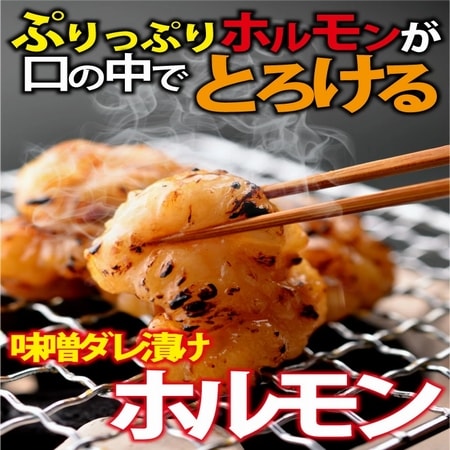 【1kg(100g×10パック)】国産牛タレ漬けホルモン(牛 小腸)