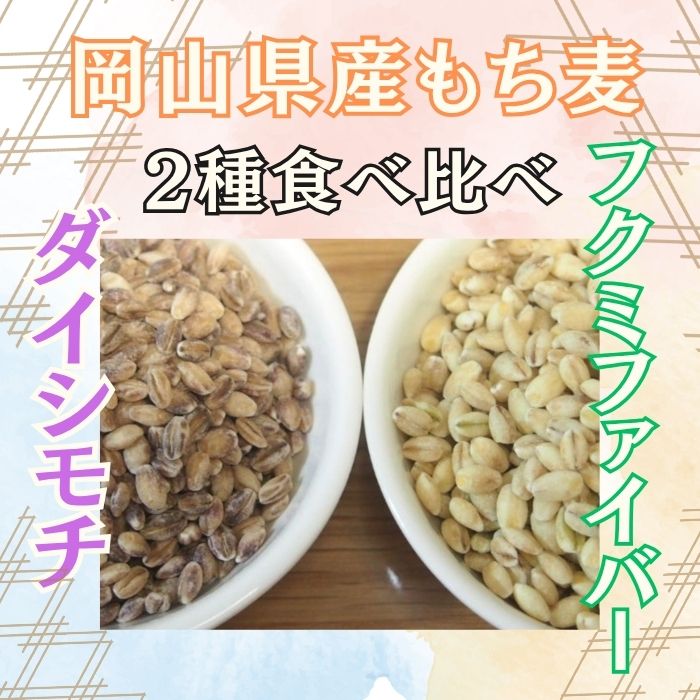 【2種計10kg】岡山県産もち麦2種食べ比べ『ダイシモチ』＆『フクミファイバー』