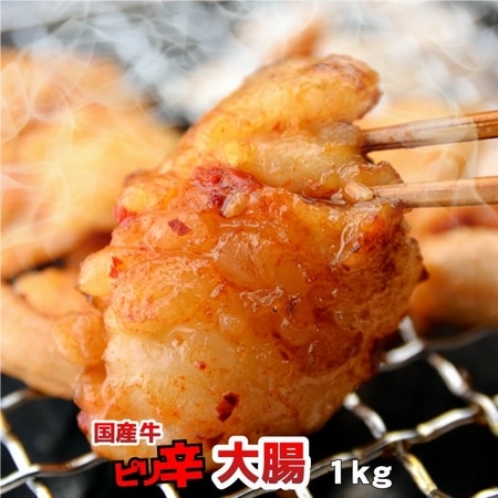 【1kg(100g×10パック)】国産牛 ピリ辛 大腸(シマチョウ テッチャン)