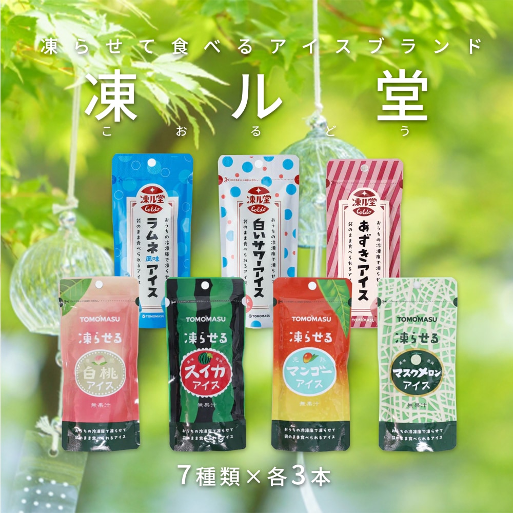 【計21本/7種×各3本】『友桝果実アイス凍ル堂』7種類各3本セット