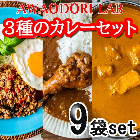 【3種計9個セット】AWAODORI LAB 骨付きカレー・ガパオ・バターチキンカレー9個セット