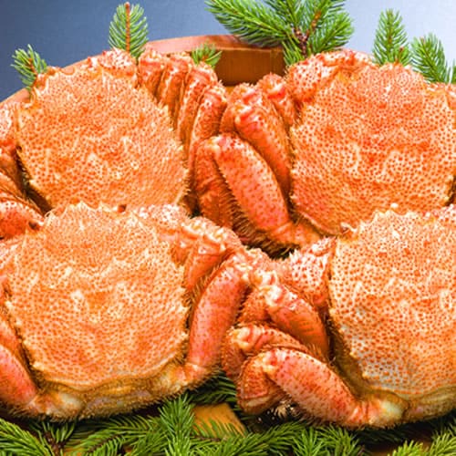 【計約1.6kg/400g前後×4尾】北海道オホーツク海産 ボイル 毛がに