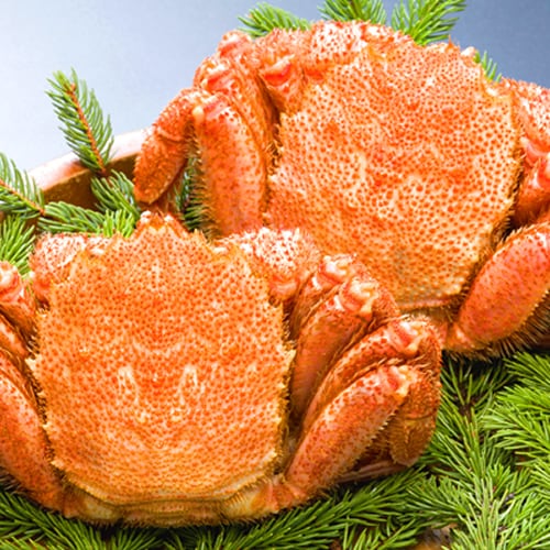 【計約800g/400g前後×2尾】北海道オホーツク海産 ボイル 毛がに