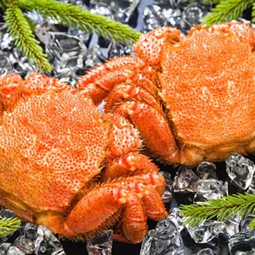 【計約1kg/500g前後×2尾】北海道オホーツク海産 ボイル 毛がに