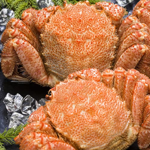 【計約1.32kg/660g前後×2尾】北海道オホーツク海産 ボイル 毛がに