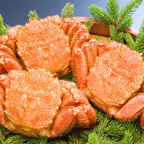 【計約900g/300g前後×3尾】北海道産 ボイル 毛がに