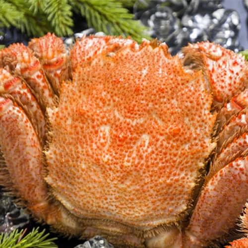 【660g前後×1尾】北海道オホーツク海産 ボイル 毛がに