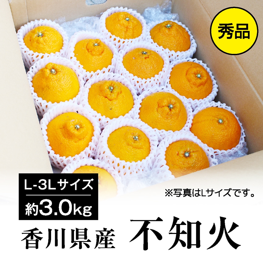 【クール便 約3.0kg(L-3L)秀品】 香川県産 不知火 (デコポン・デコみかんと同品種)