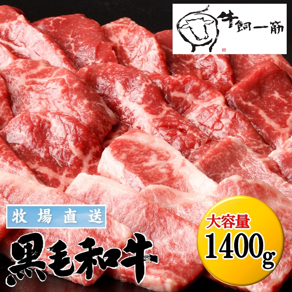 【1.4kg(カルビ＆ロース)】九州産 黒毛和牛焼肉セット(700g×2)
