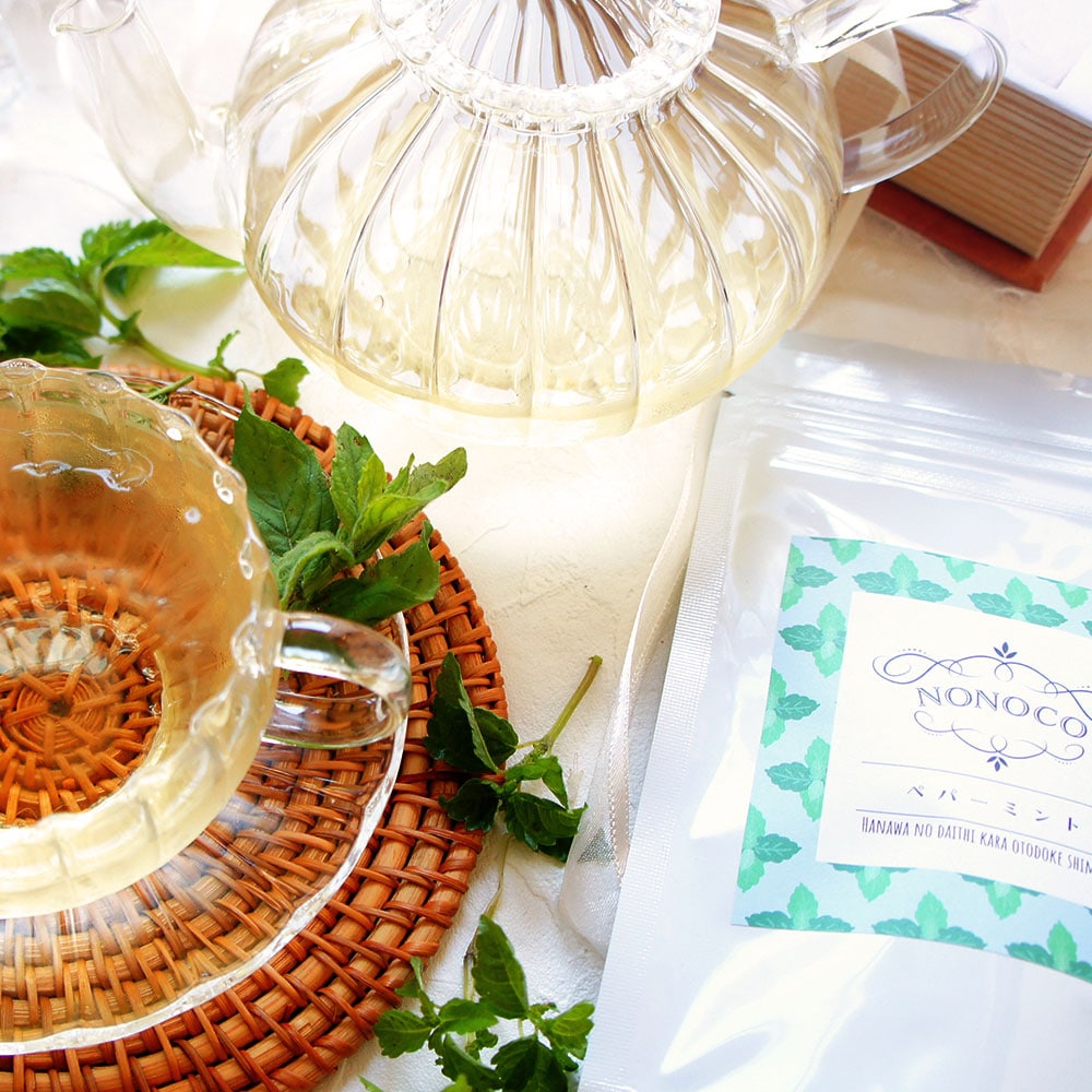 【1.2g×8包】国産ペパーミントティー