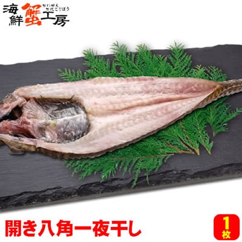 【1枚】北海道産 開き八角一夜干し