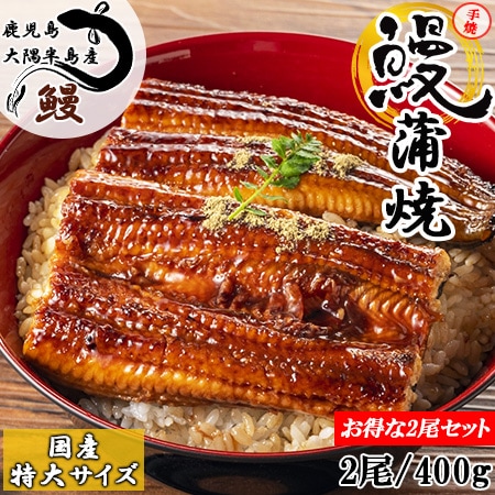 【特大200g×2尾】鹿児島大隅半島産 備長炭手焼き うなぎ蒲焼 (タレ付き)