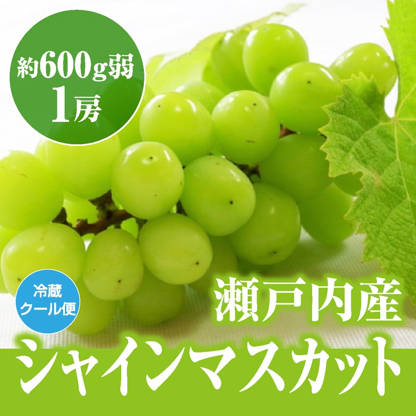 【約600g弱(1房)】瀬戸内産シャインマスカット