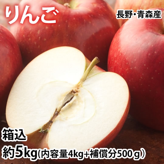 【箱込約5kg】りんご《個数・品種おまかせ》